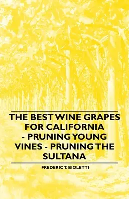 Nejlepší vinné hrozny pro Kalifornii - Řez mladých rév - Řez sultánky - The Best Wine Grapes for California - Pruning Young Vines - Pruning the Sultana