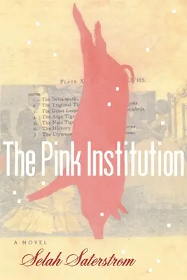 Růžová instituce - The Pink Institution