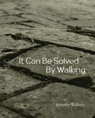 Lze ji vyřešit chůzí - It Can Be Solved by Walking