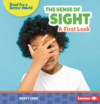 Smysl pro zrak: První pohled - The Sense of Sight: A First Look
