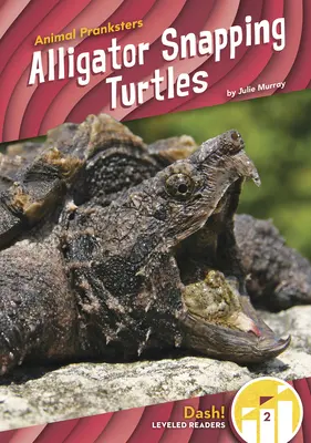 Želvy aligátoří - Alligator Snapping Turtles