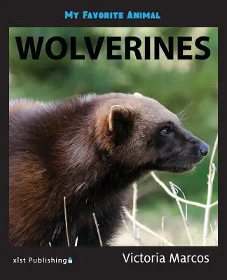 Moje oblíbené zvíře: Rosomáci - My Favorite Animal: Wolverines