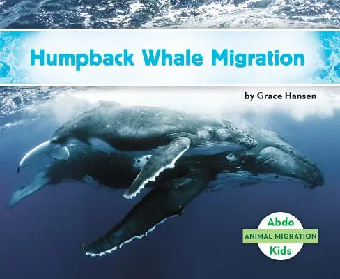 Migrace keporkaků - Humpback Whale Migration