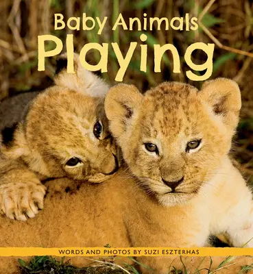 Mláďata zvířat si hrají - Baby Animals Playing