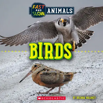 Rychle a pomalu: Ptáci (Divoký svět) - Fast and Slow: Birds (Wild World)