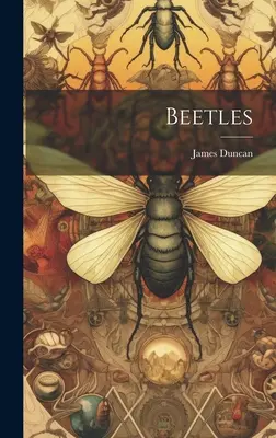 Broučci - Beetles
