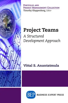 Projektové týmy: Strukturovaný přístup k rozvoji - Project Teams: A Structured Development Approach