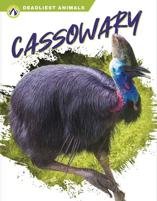 Kasuár - Cassowary