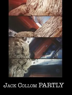 Částečně: Vybrané básně: 1954-2016 - Partly: Selected Poems: 1954-2016