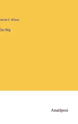 Náš Nig - Our Nig