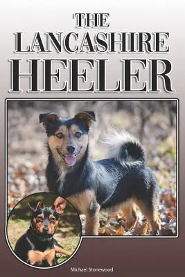 The Lancashire Heeler: A Complete and Comprehensive Owners Guide to: Koupě, vlastnictví, zdraví, péče, výcvik, poslušnost, pochopení a porozumění - The Lancashire Heeler: A Complete and Comprehensive Owners Guide to: Buying, Owning, Health, Grooming, Training, Obedience, Understanding and