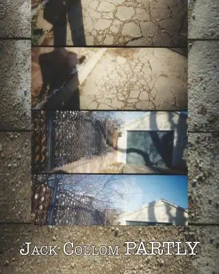 Částečně: Vybrané básně: 1954-2016 - Partly: Selected Poems: 1954-2016