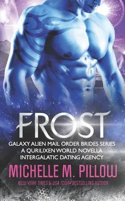 Mráz: A Qurilixen World Novella - Frost: A Qurilixen World Novella