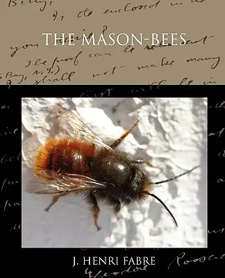 Zedníčci - The Mason-bees