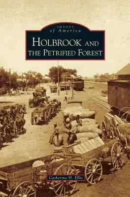 Holbrook a zkamenělý les - Holbrook and the Petrified Forest