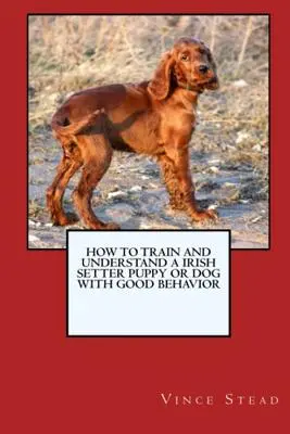 Jak vycvičit a vychovat štěně irského setra nebo psa s dobrým chováním - How to Train and Raise a Irish Setter Puppy or Dog with Good Behavior