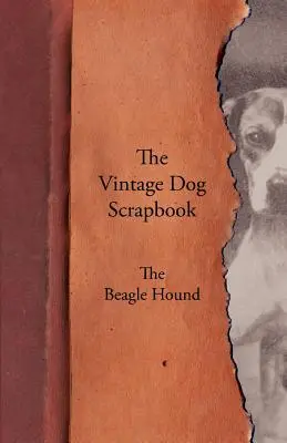 The Vintage Dog Scrapbook - Bíglí pes - The Vintage Dog Scrapbook - The Beagle Hound
