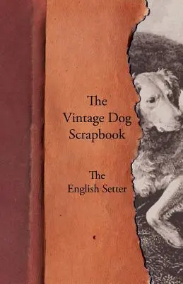 The Vintage Dog Scrapbook - Anglický setr - The Vintage Dog Scrapbook - The English Setter