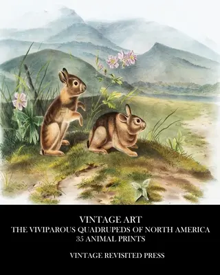 Vintage Art: Vánoční umění: The Viviparous Quadrupeds of North America 35 tisků zvířat - Vintage Art: The Viviparous Quadrupeds of North America 35 Animal Prints