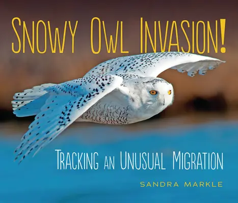 Invaze sovic sněžných!: Po stopách neobvyklé migrace - Snowy Owl Invasion!: Tracking an Unusual Migration