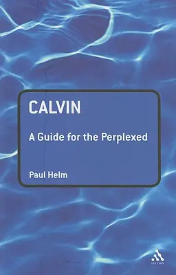 Calvin: Průvodce pro zmatené - Calvin: A Guide for the Perplexed