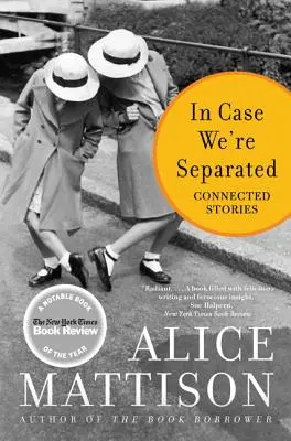 Pro případ, že bychom se rozešli: V případě, že jsme odloučeni: Propojené příběhy - In Case We're Separated: Connected Stories