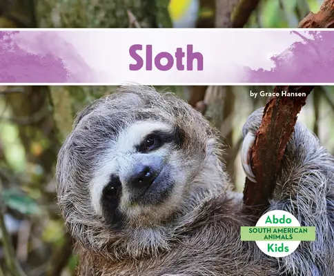 Lenochodi - Sloth
