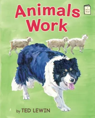 Zvířata pracují - Animals Work