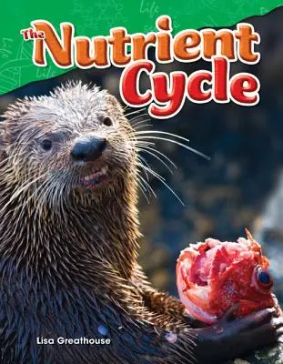 Koloběh živin - The Nutrient Cycle