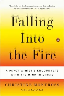 Pád do ohně: Vstoupit do ohně: Setkání psychiatra s myslí v krizi - Falling Into the Fire: A Psychiatrist's Encounters with the Mind in Crisis