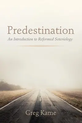 Predestinace - Predestination