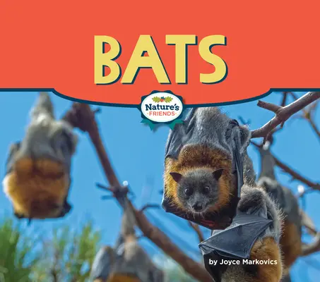 Netopýři - Bats