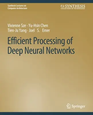Efektivní zpracování hlubokých neuronových sítí - Efficient Processing of Deep Neural Networks