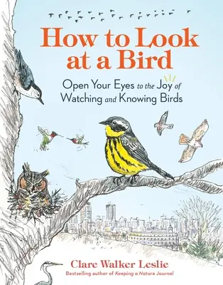 Jak se dívat na ptáka: Jak se dívat na ptáky: Otevřete oči radosti z pozorování a poznávání ptáků - How to Look at a Bird: Open Your Eyes to the Joy of Watching and Knowing Birds