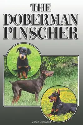 Dobrmanský pinč: Doberbon: Kompletní a vyčerpávající průvodce pro majitele: Koupě, vlastnictví, zdraví, péče, výcvik, poslušnost, pochopení a porozumění - The Doberman Pinscher: A Complete and Comprehensive Owners Guide To: Buying, Owning, Health, Grooming, Training, Obedience, Understanding and