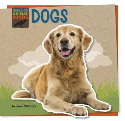 Psi - Dogs