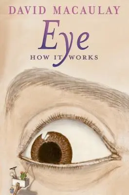 Oko: Jak to funguje - Eye: How It Works