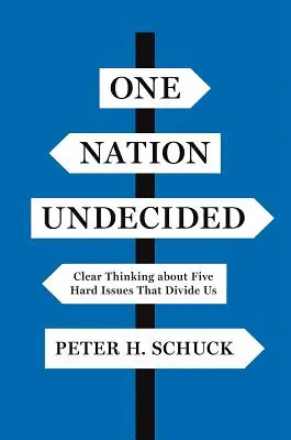 Jeden národ nerozhodnutý: Jasné uvažování o pěti těžkých otázkách, které nás rozdělují - One Nation Undecided: Clear Thinking about Five Hard Issues That Divide Us