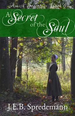 Tajemství duše (Amišská tajemství - kniha 6) - A Secret of the Soul (Amish Secrets - Book 6)