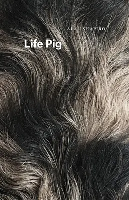 Životní prase - Life Pig