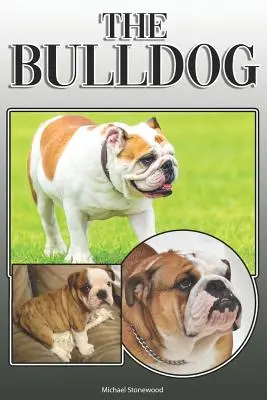 Buldok: A Complete and Comprehensive Owners Guide To: Koupě, vlastnictví, zdraví, péče, výcvik, poslušnost, pochopení a porozumění - The Bulldog: A Complete and Comprehensive Owners Guide To: Buying, Owning, Health, Grooming, Training, Obedience, Understanding and