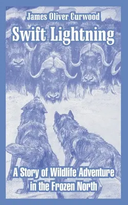 Rychlý blesk: Příběh o dobrodružství v divoké přírodě na mrazivém severu - Swift Lightning: A Story of Wildlife Adventure in the Frozen North
