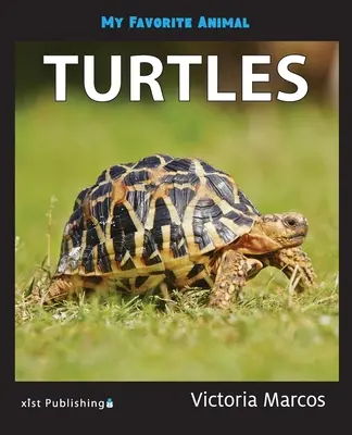 Moje oblíbené zvíře: Želvy - My Favorite Animal: Turtles