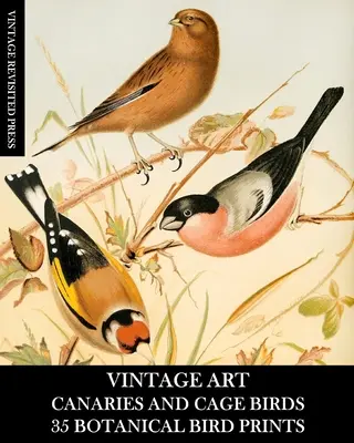 Vintage Art: 35 botanických tisků: Vánoční fotografie: Efemery pro rámování, dekupáž a smíšená média - Vintage Art: Canaries and Cage Birds 35 Botanical Prints: Ephemera for Framing, Decoupage, and Mixed Media