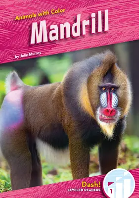 Mandril - Mandrill