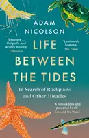 Život mezi přílivy a odlivy - Při hledání skalních tůní a dalších dobrodružství podél pobřeží - Life Between the Tides - In Search of Rockpools and Other Adventures Along the Shore