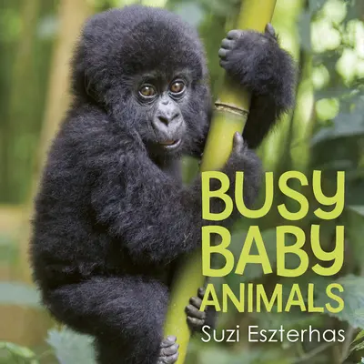 Zaneprázdněná mláďata zvířat - Busy Baby Animals