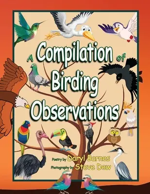 Sbírka pozorování ptáků - A Compilation of Birding Observations