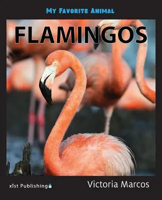 Moje oblíbené zvíře: Plameňáci - My Favorite Animal: Flamingos