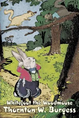 Myšák Bělonožka by Thornton Burgess, Fikce, Zvířata, Fantasy a magie - Whitefoot the Woodmouse by Thornton Burgess, Fiction, Animals, Fantasy & Magic